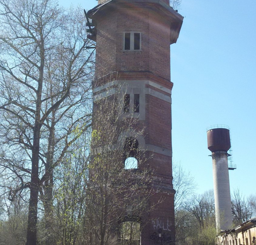 Estate Osinovaya Roshha景点图片