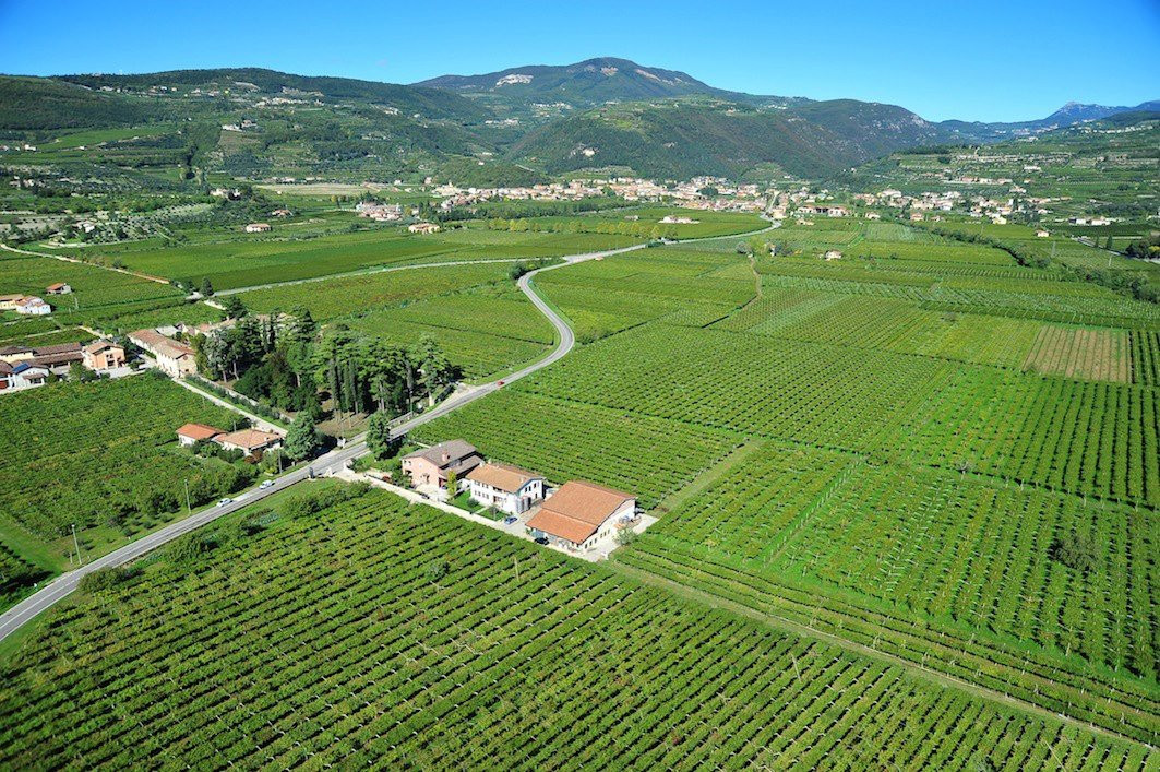 Azienda Agricola Cantina Spada景点图片