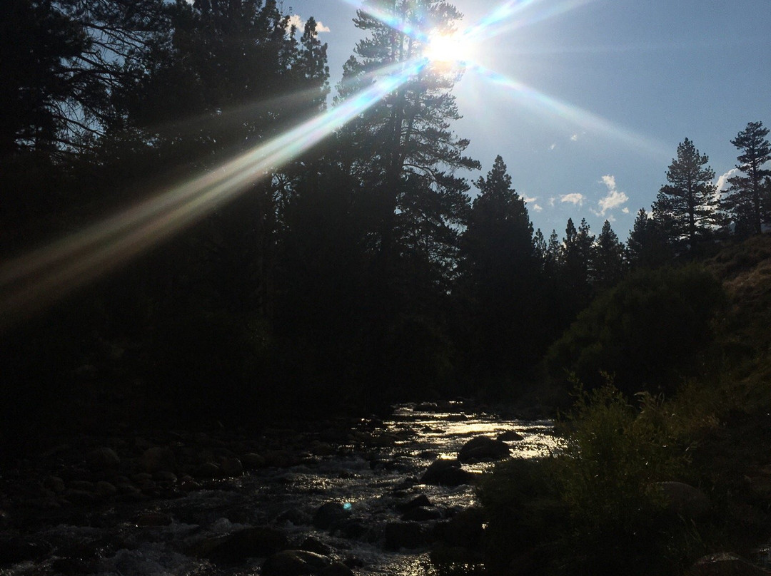 Buckeye Hot Spring-布里奇波特必去景点