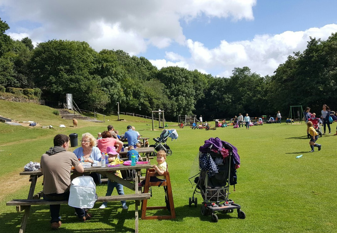 New Mills Farm Park-朗塞斯顿必去景点