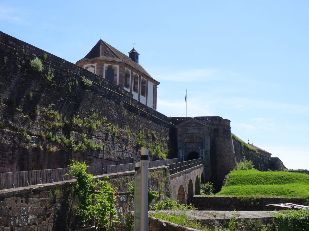 Office de Tourisme du Pays de Bitche景点图片