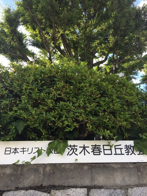 光之教堂-茨木市必去景点
