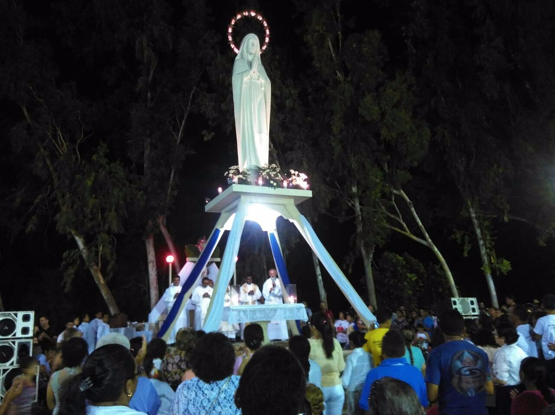 Ilha das Canarias旅游攻略图片