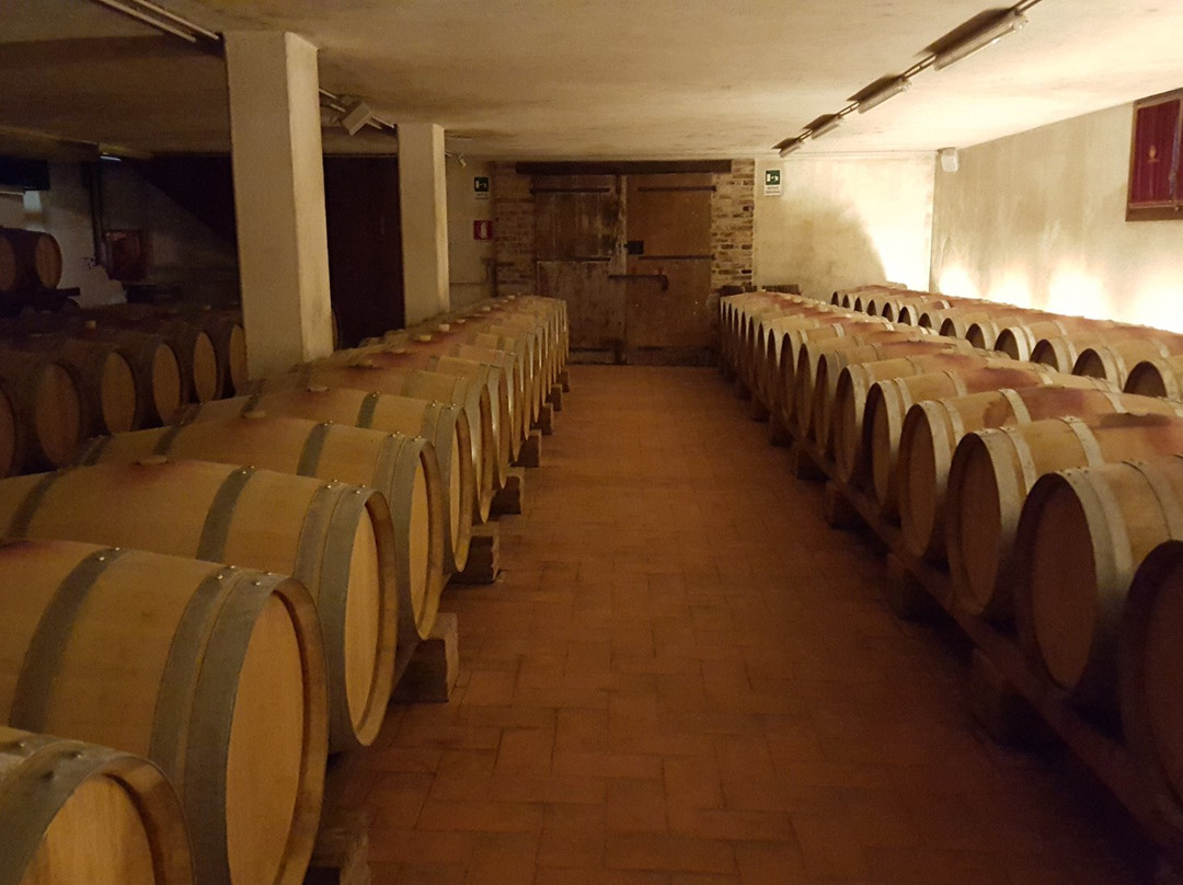 Venice Wine Tour-麦斯特必去景点