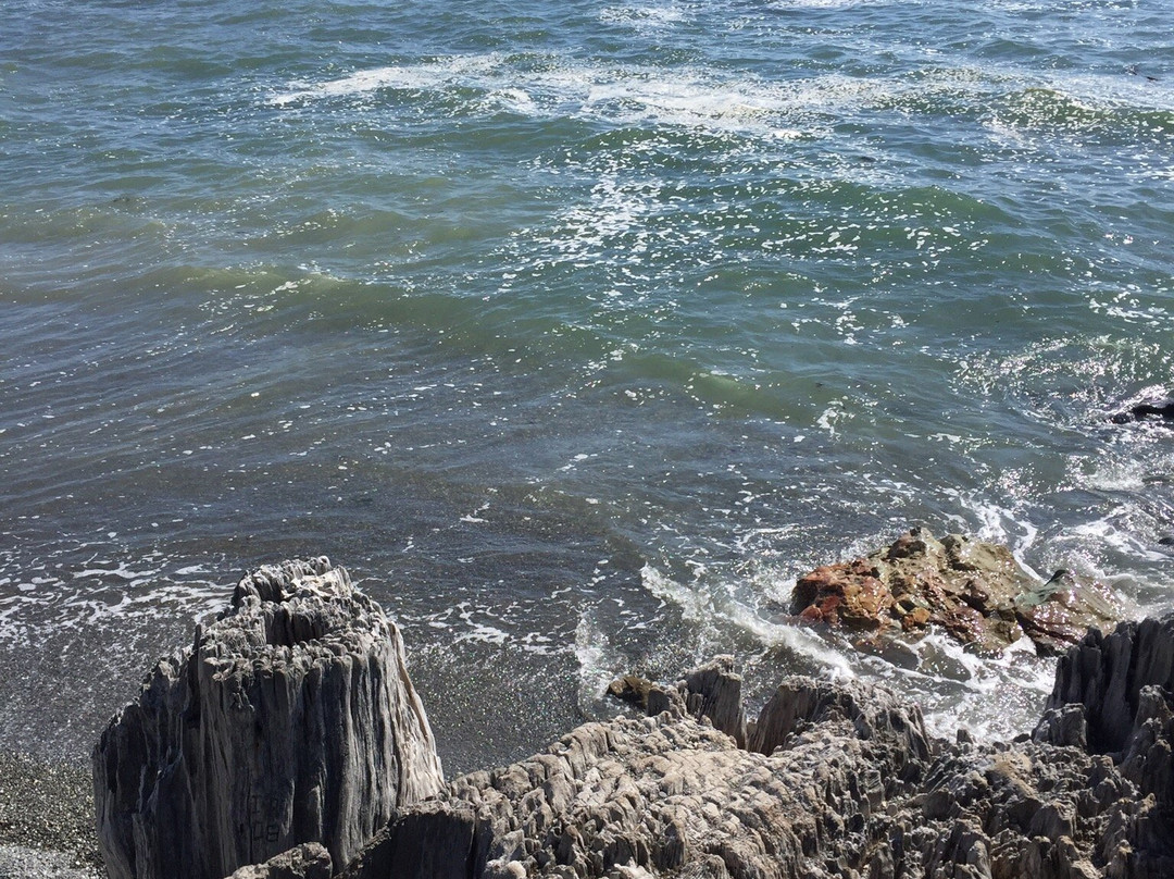 McVay Rock State Recreation Site-布鲁金斯必去景点