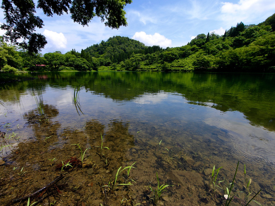 Takanami Pond景点图片