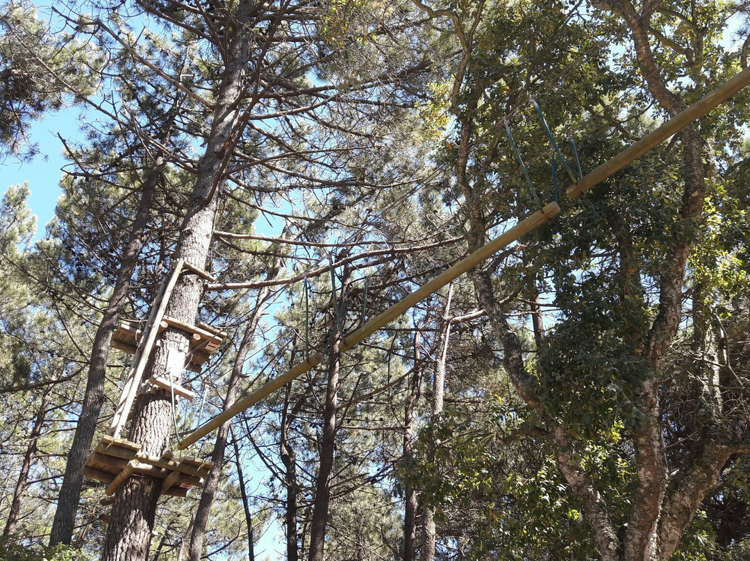 Parque Aventura Cova da Baleia景点图片