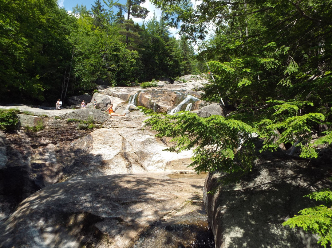 Step Falls Preserve Hiking Trail景点图片