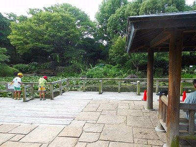 Motohama Ryokuchi Park-尼崎市必去景点