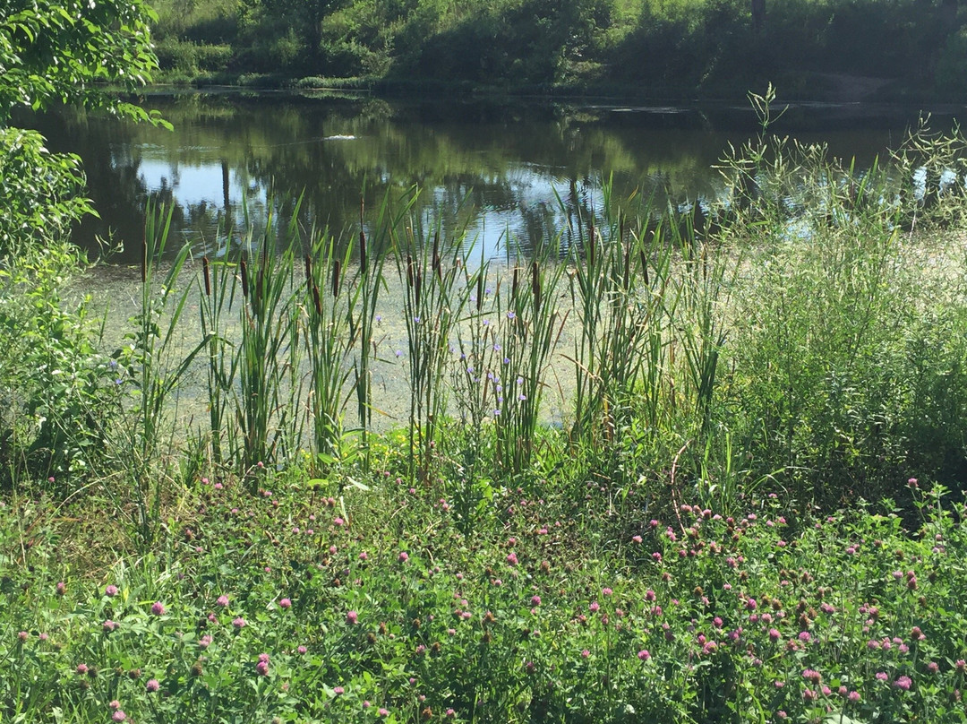 Beckley Creek Park景点图片