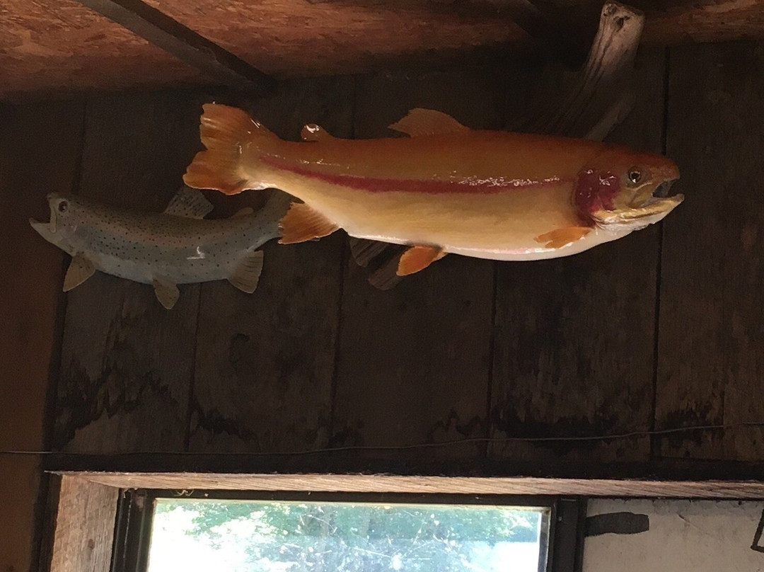 Mountain Springs Trout Park-Highlandville必去景点