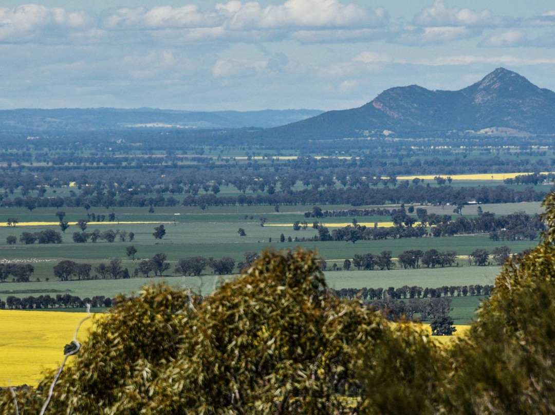 Lockhart旅游攻略图片