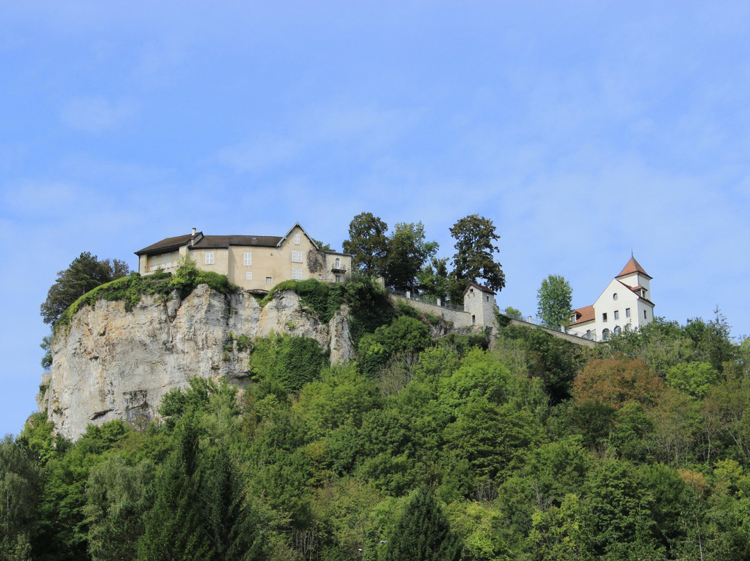 Belvédère Du Château d’Ornans景点图片