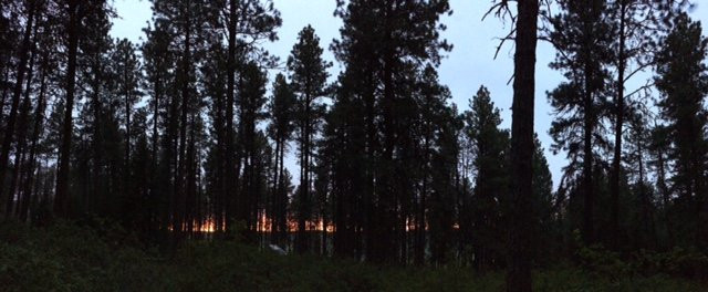 Kamiak Butte County Park景点图片