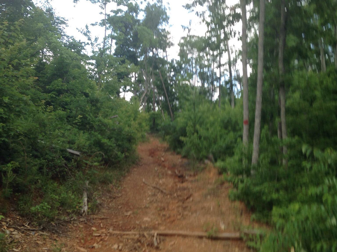 Fort Mountain Stables-Chatsworth必去景点