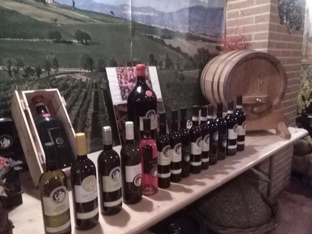 Umbria Wine Tour景点图片