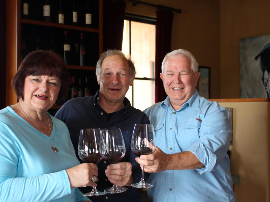 Envy Wines-卡利斯托加必去景点