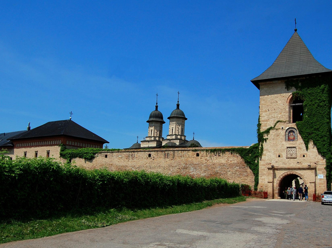 Cetăţuia Monastery (Mănăstirea Cetățuia)景点图片