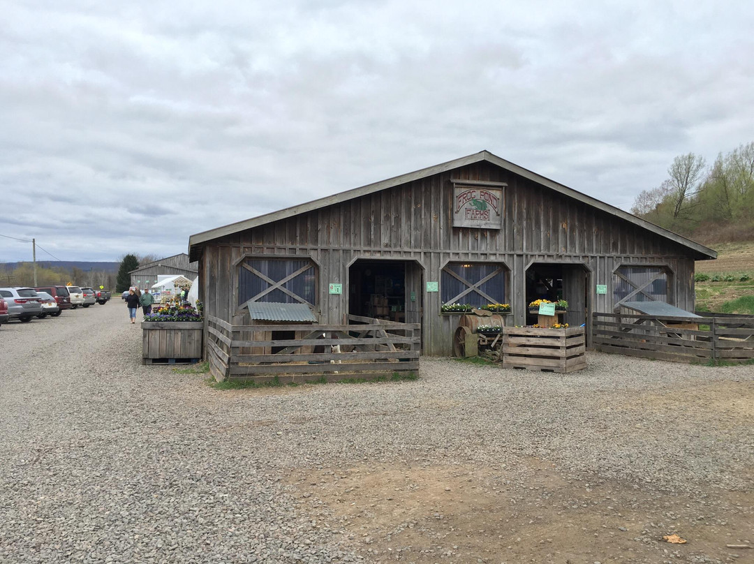Frog Pond Farms-Bainbridge必去景点