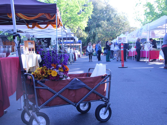 Chico Certified Farmer's Market-奇科必去景点