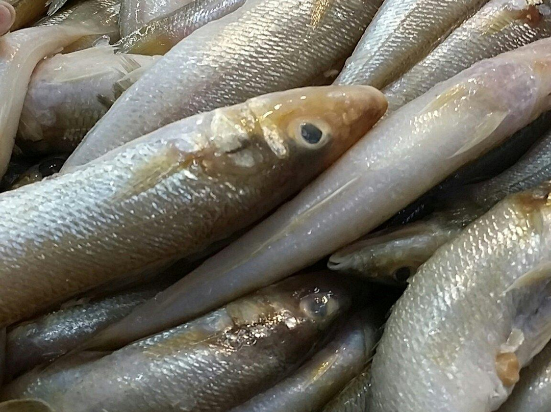 Talad Thai-空銮必去景点