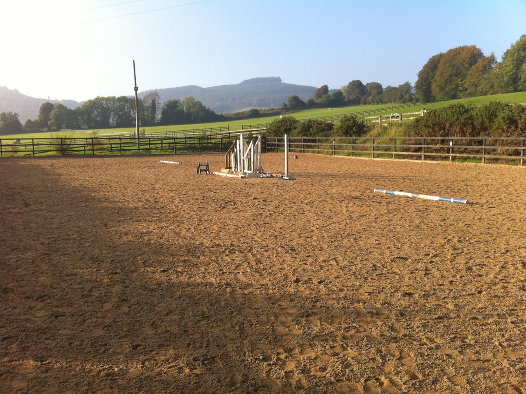 Maltfield Stud Riding School景点图片