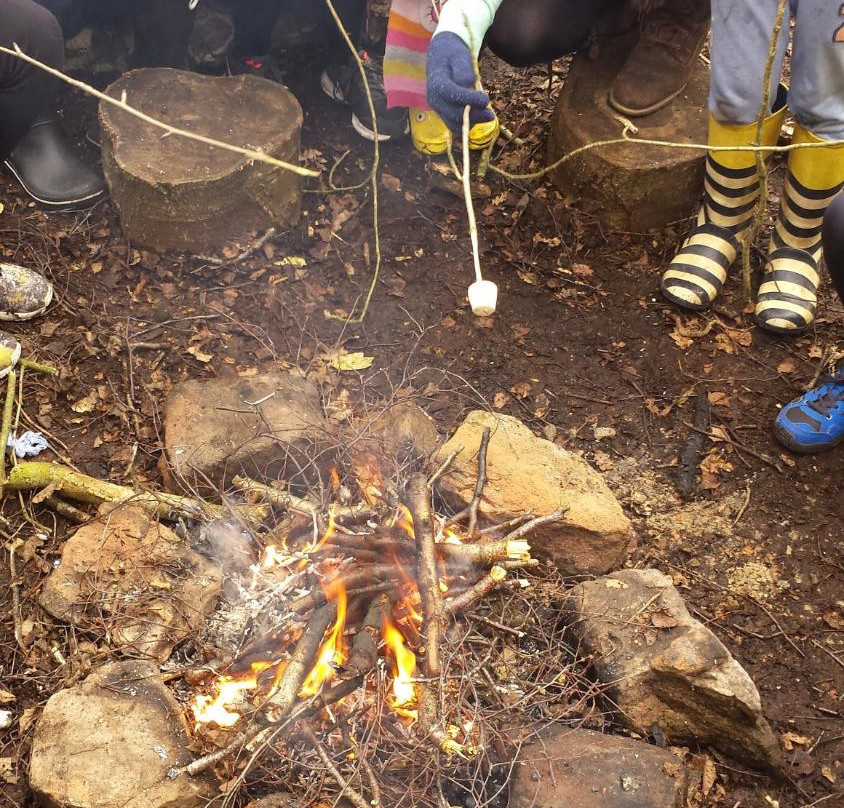 Cheshire Bushcraft-Sandiway必去景点