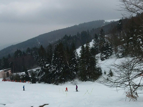 Le Markstein Ski Resort-Markstein必去景点