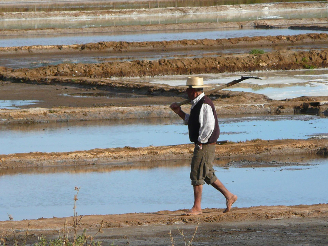 Colchagua Heights-圣克鲁斯必去景点