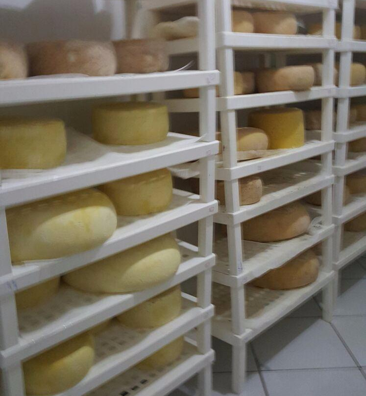 Paulo Lopes旅游景点-Queijo com Sotaque