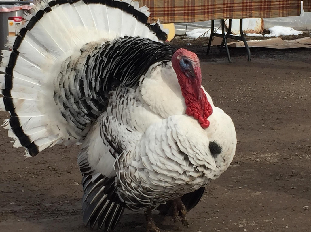 Haderlie Farms-Thayne必去景点