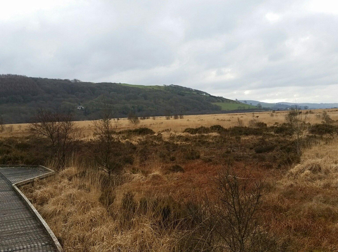 Cors Caron-Tregaron必去景点