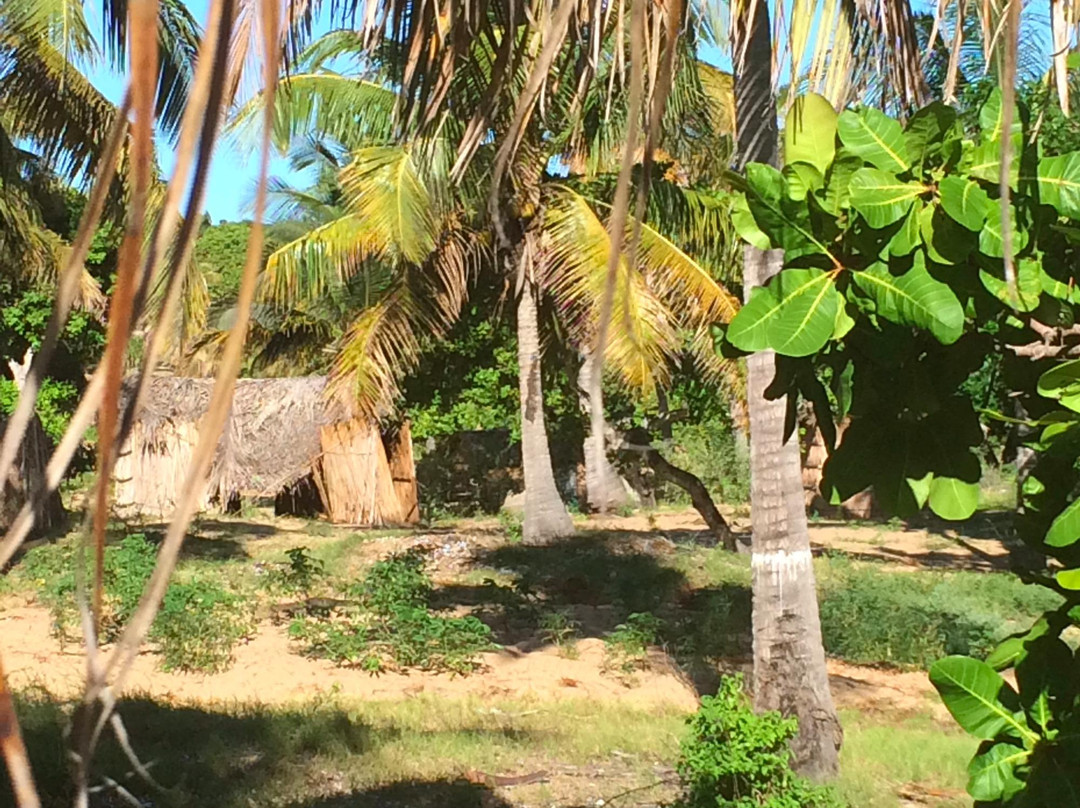 Cavalheiros Do Tofo-托佛必去景点