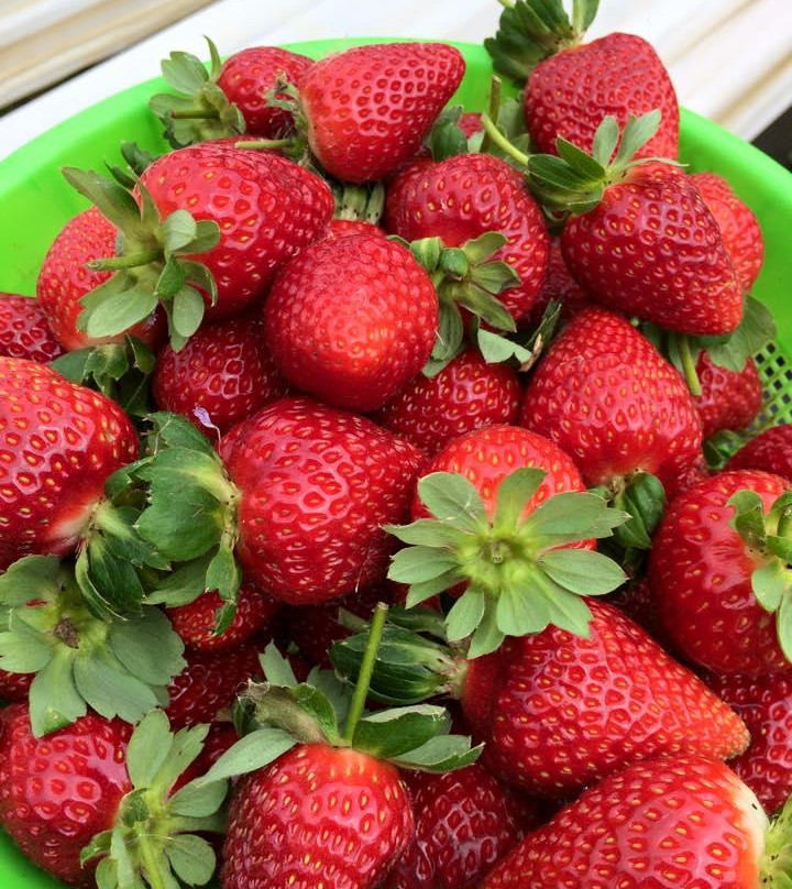 Sítio Herança Agroturismo-多明戈斯-马丁斯必去景点