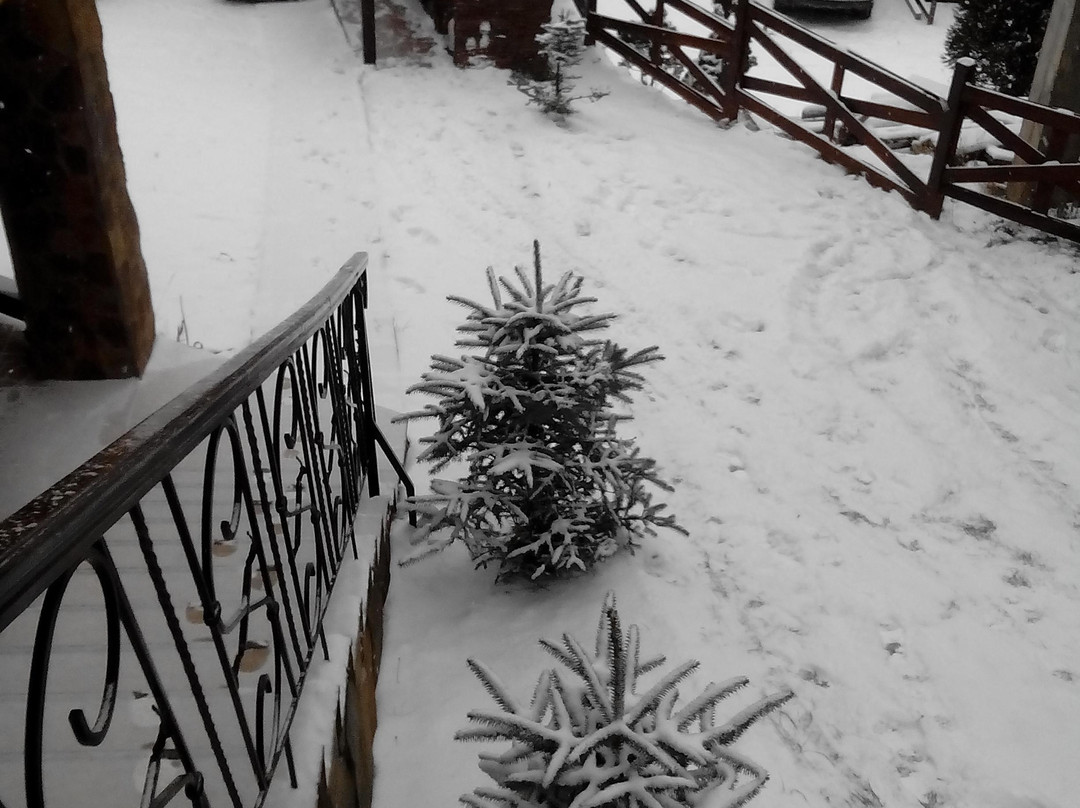 Karpatska Kazka Sadiba