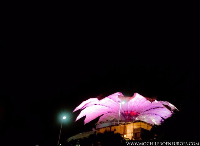 La Flor de Venezuela景点图片