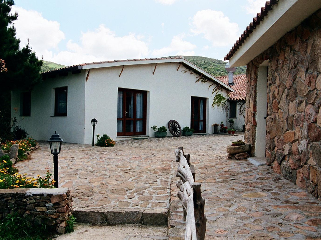 Aggius餐馆和美食-Agriturismo Vintura