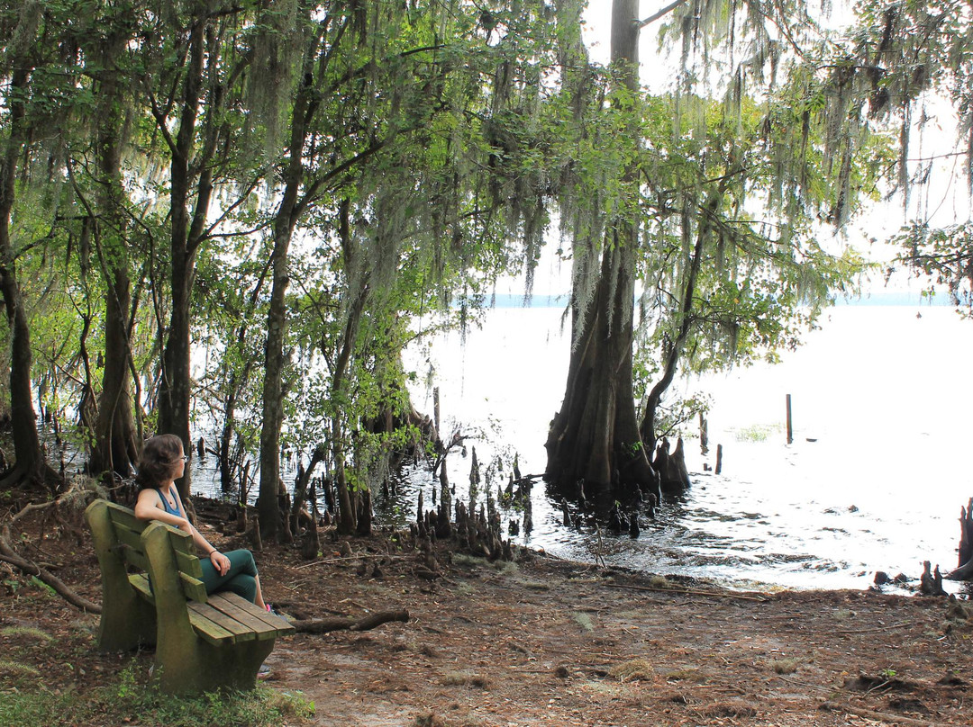 Palm Point Nature Park-盖恩斯维尔必去景点