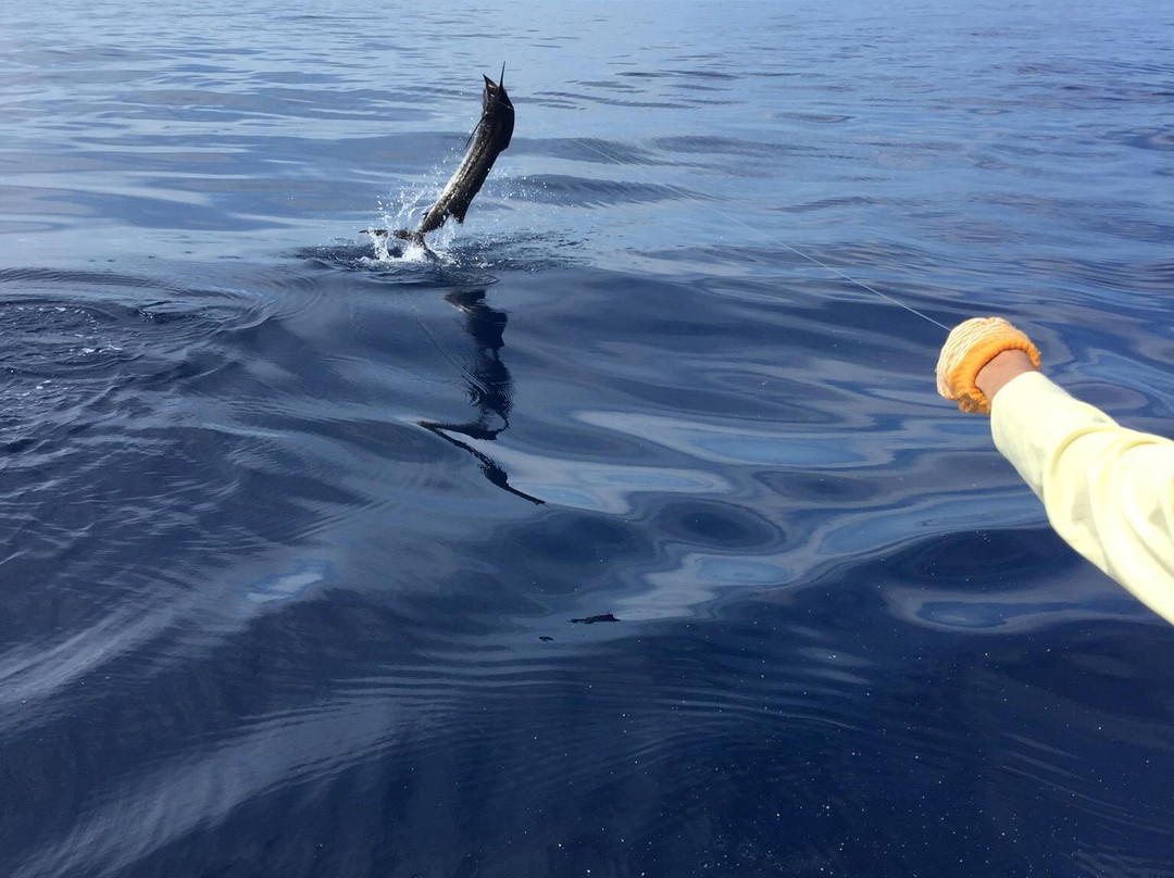 EPIC Sportfishing Charters景点图片