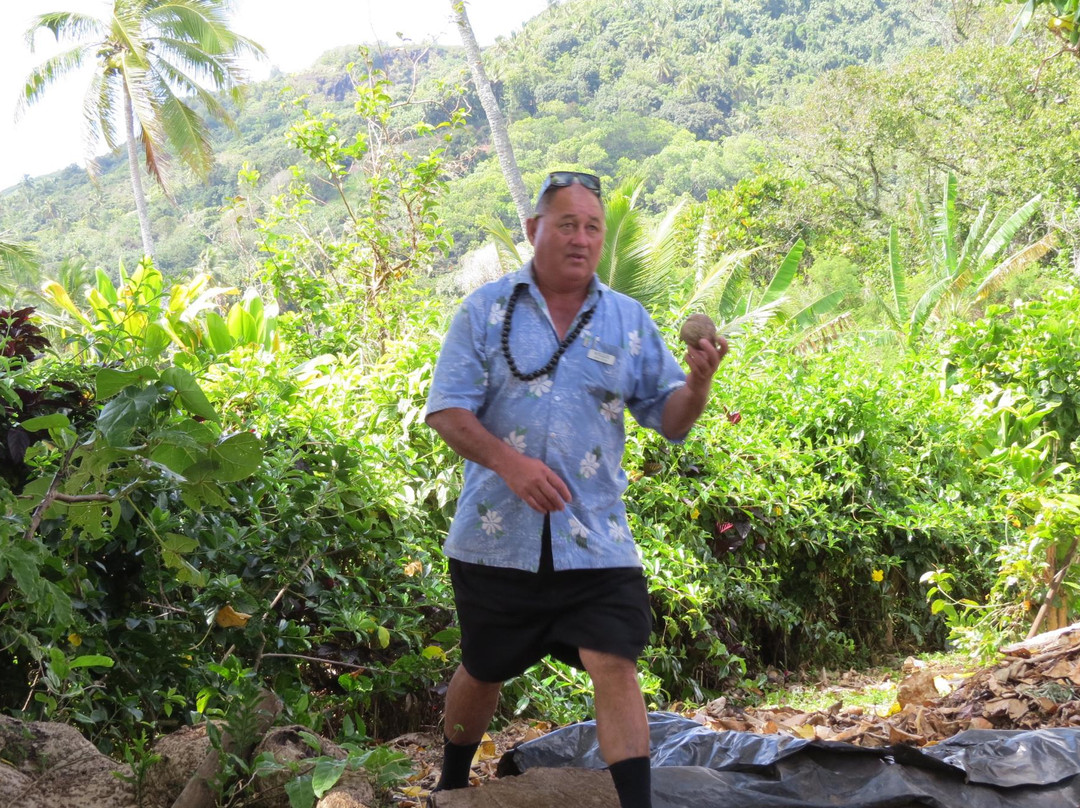 Raro Tours - Island Discovery Tours-拉罗汤加必去景点