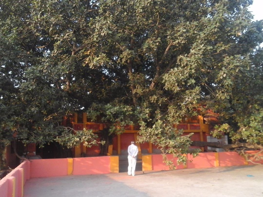 Shukratal (Shukteerth)景点图片