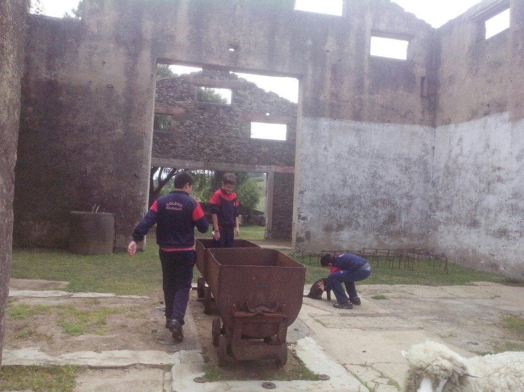 Parque Arqueológico Mina La Oriental-Maldonado必去景点