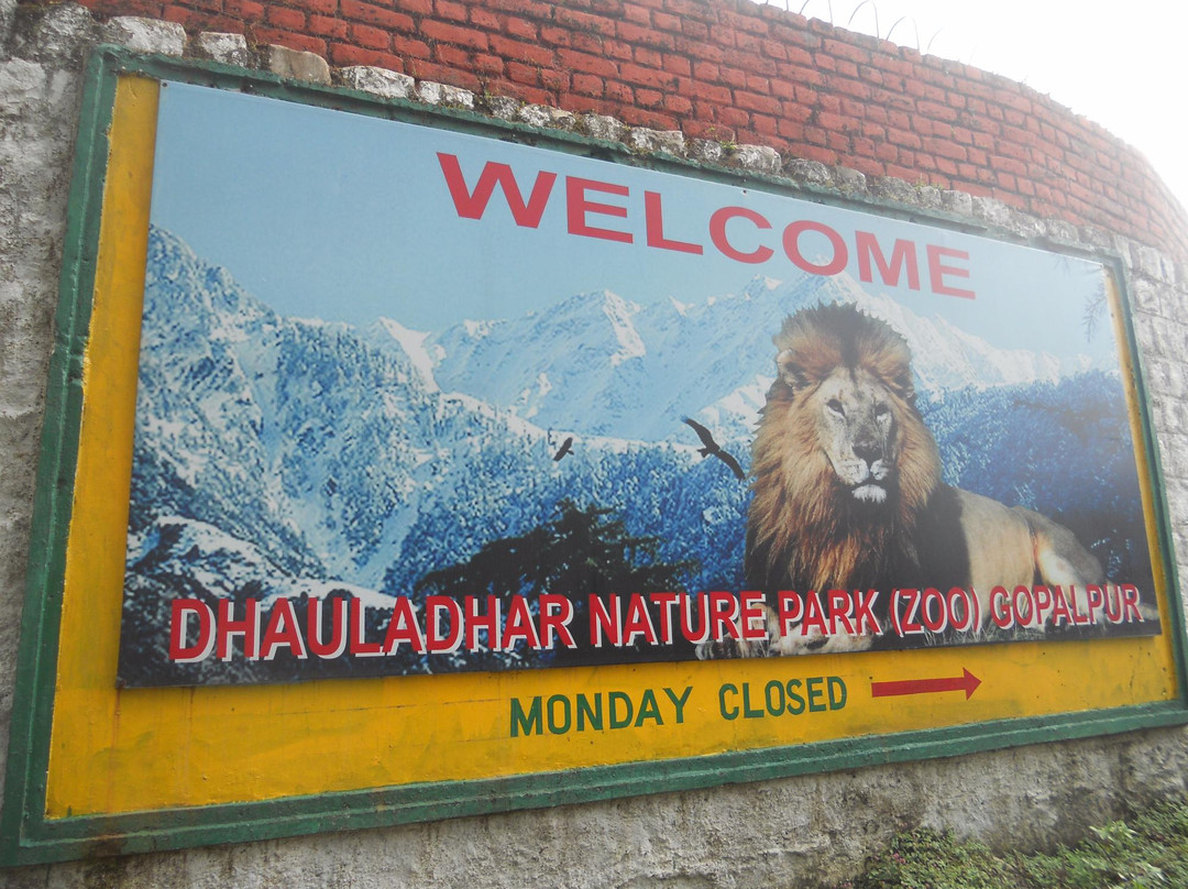 Dhauladhar National Park景点图片