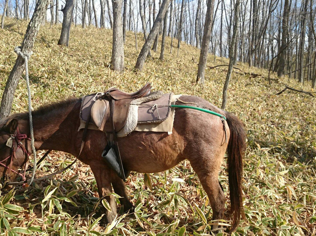 Tsurui Dosanko Farm-鹤居村必去景点
