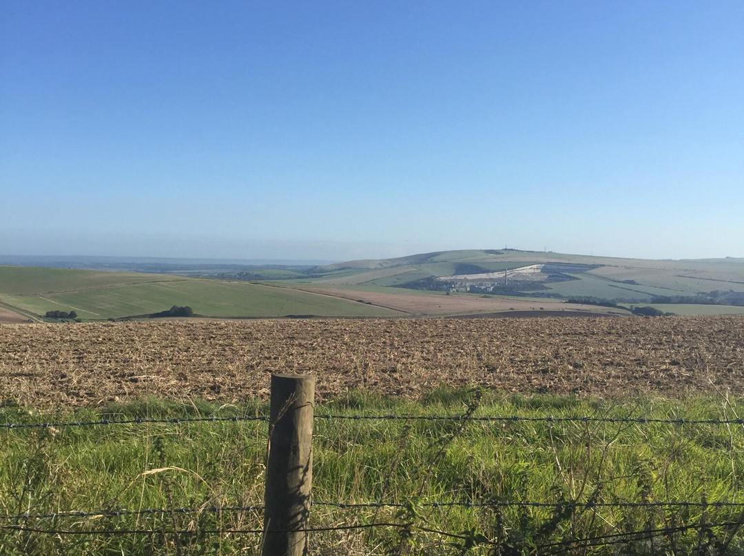 South Downs Way National Trail景点图片