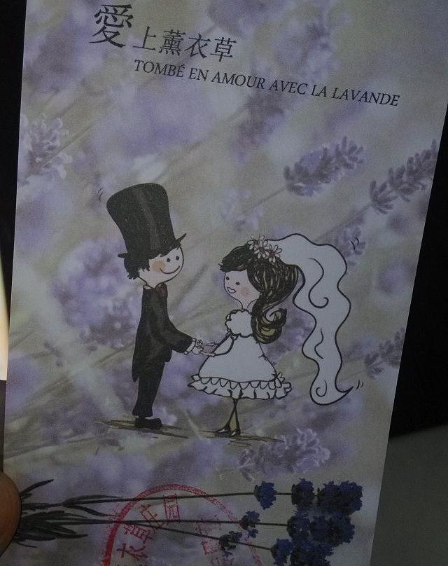 紫海香田薰衣草庄园-石家庄市必去景点