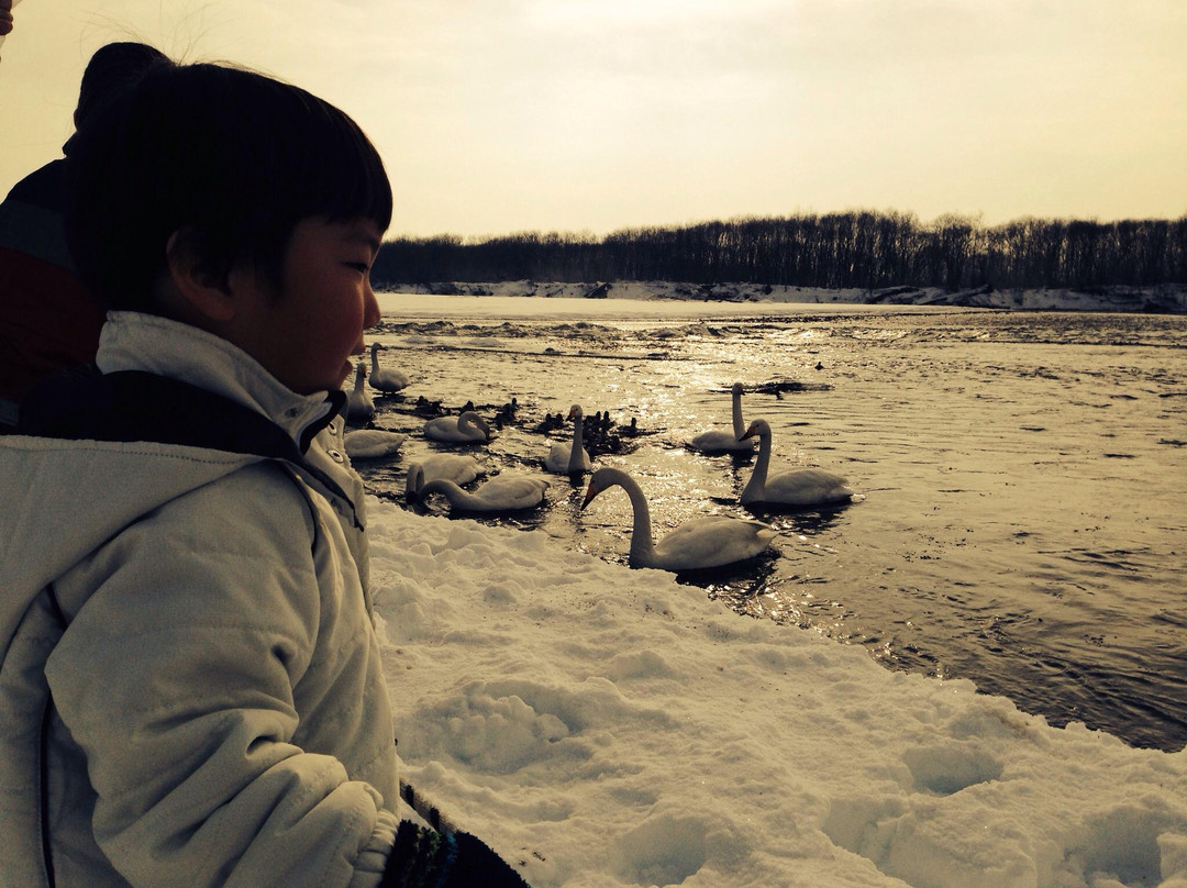 Tokachigawa Onsen Aqua Park-音更町必去景点