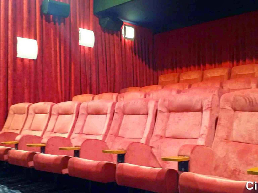 The Town Hall Cinemas景点图片