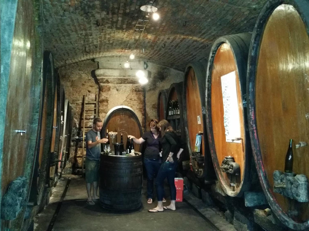 Domaine Hubert METZ景点图片