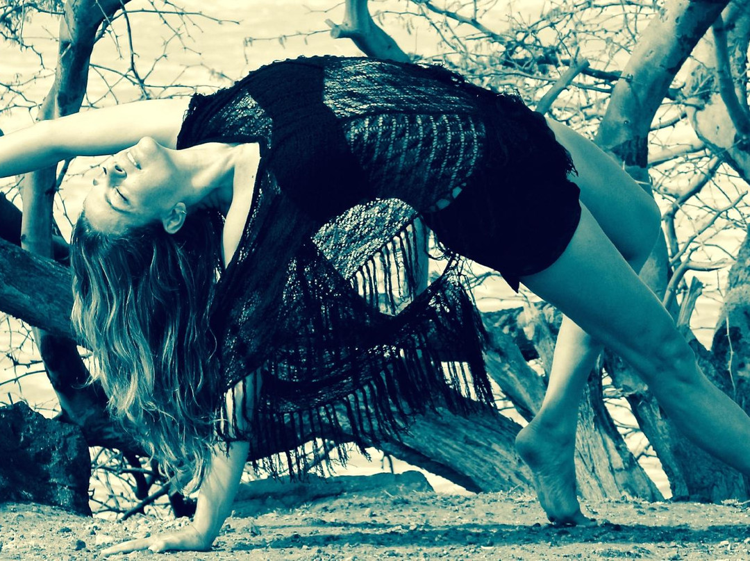 Maya Parish Yoga-哈威必去景点